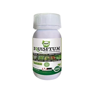 Massogreen equisetum - Imagen 1